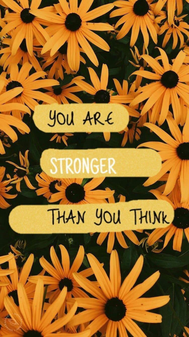 750x1334 Sunflower Quotes Wallpaper iPhone HD Wallpaper