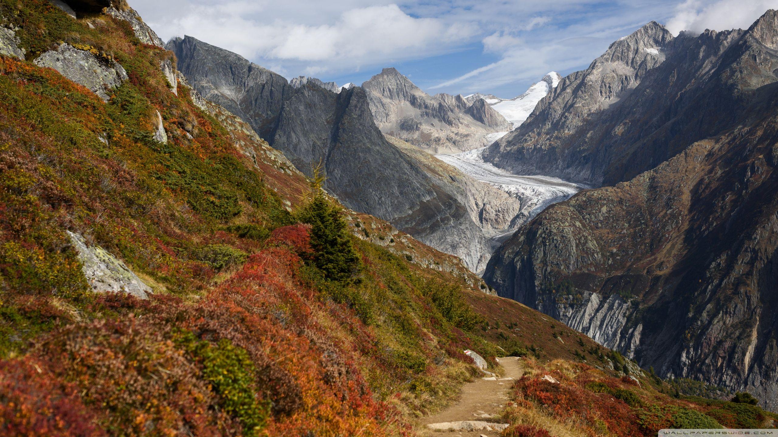 2560x1440 Swiss Alps Mountain range, Switzerland, Glacier Ultra HD Desktop Background Wallpaper for 4K UHD TV : Widescreen & UltraWide Desktop & Laptop : Multi Display, Dual Monitor : Tablet