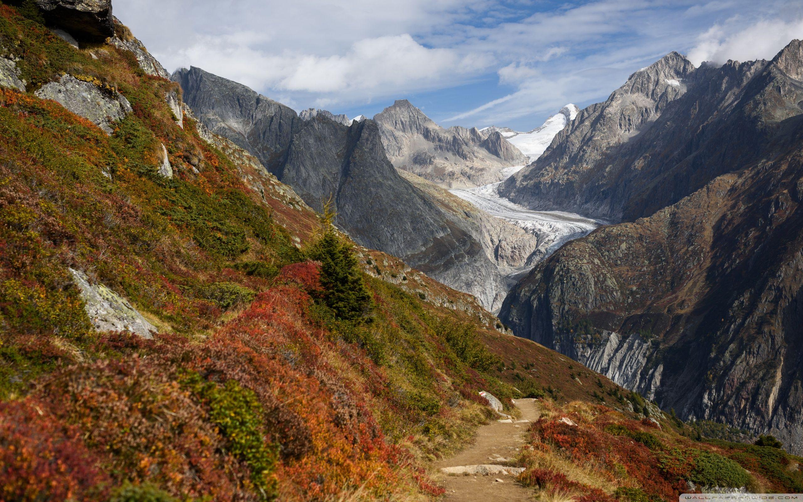 2560x1600 Swiss Alps Mountain range, Switzerland, Glacier Ultra HD Desktop Background Wallpaper for 4K UHD TV : Widescreen & UltraWide Desktop & Laptop : Multi Display, Dual Monitor : Tablet