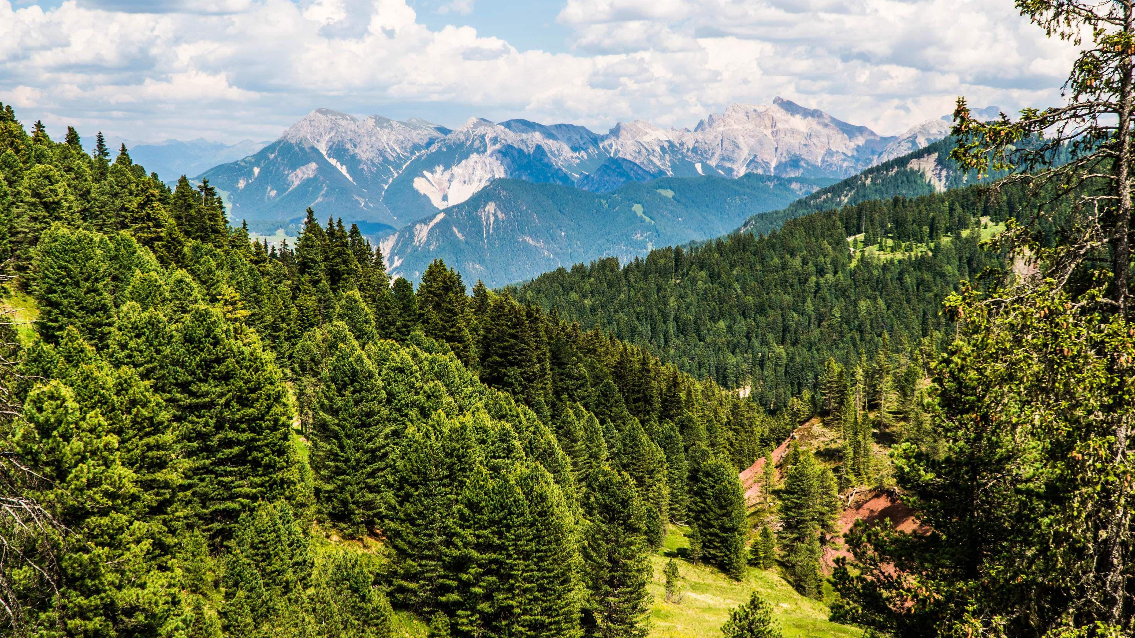 3840x2160 The Most Peaceful Summer Day In The Swiss Alps Wallpaper