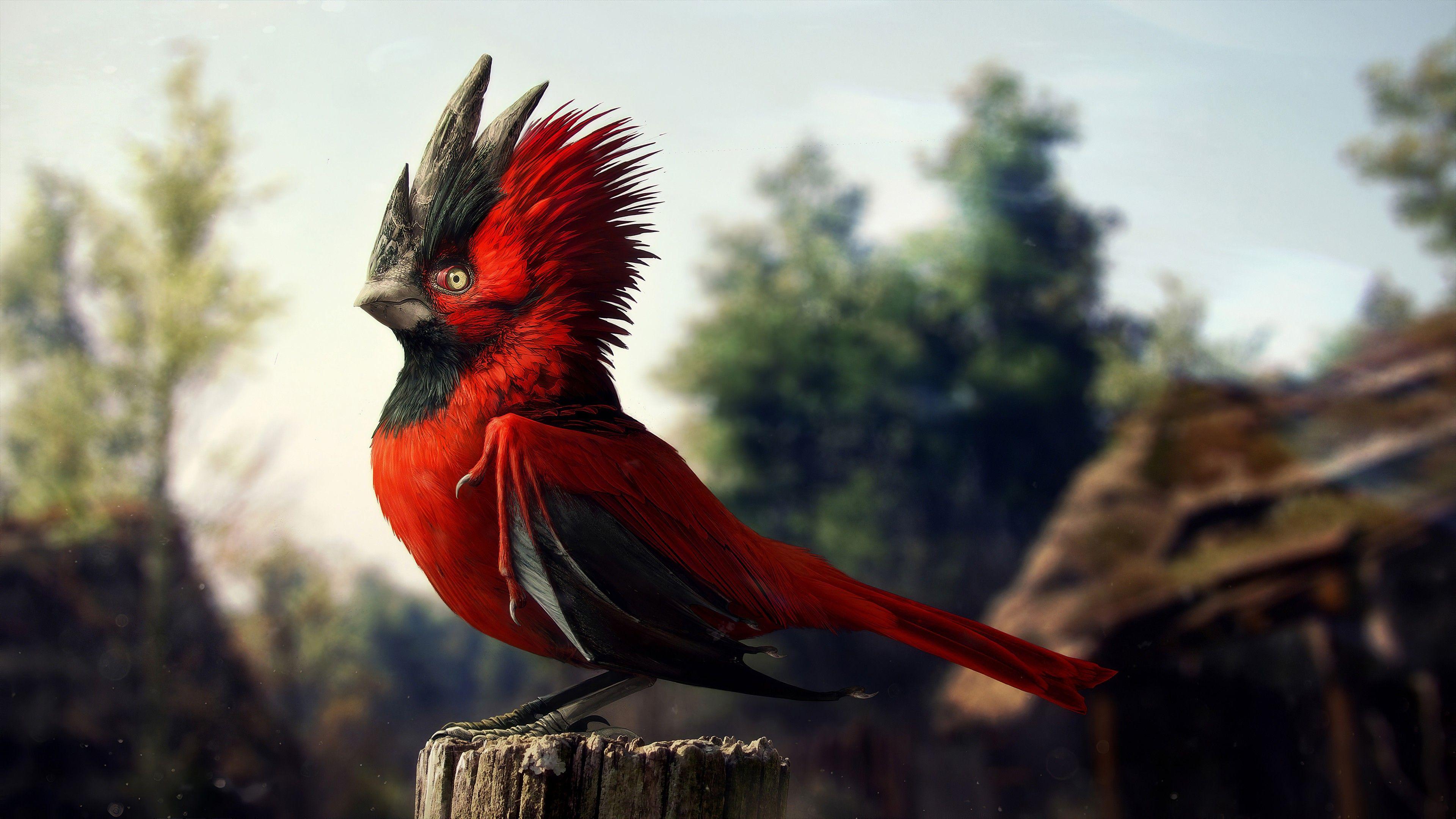 3840x2160 Cgi Bird 4K 5K HD Wallpaper. HD
