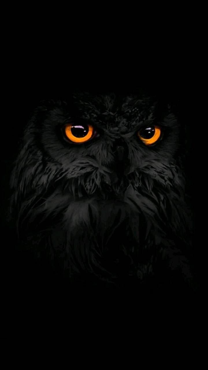 720x1280 Download Black Eagle Wallpaper HD By ShariRomeoKhan. Wallpaper