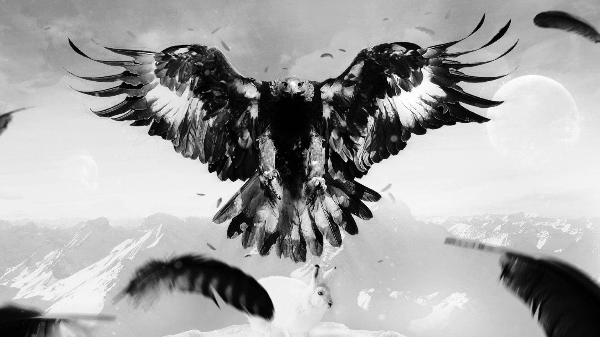 Eagle Black and White Wallpapers Top Free Eagle Black and White
