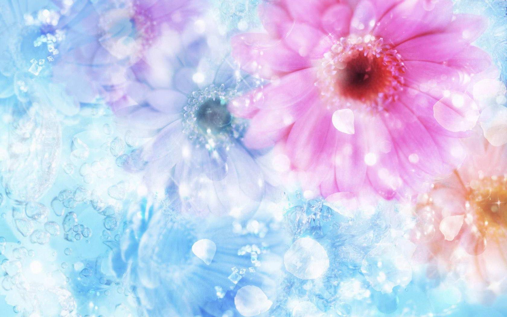 Hình nền hình nền 1680x1050 Flower And Water Droplet 146317