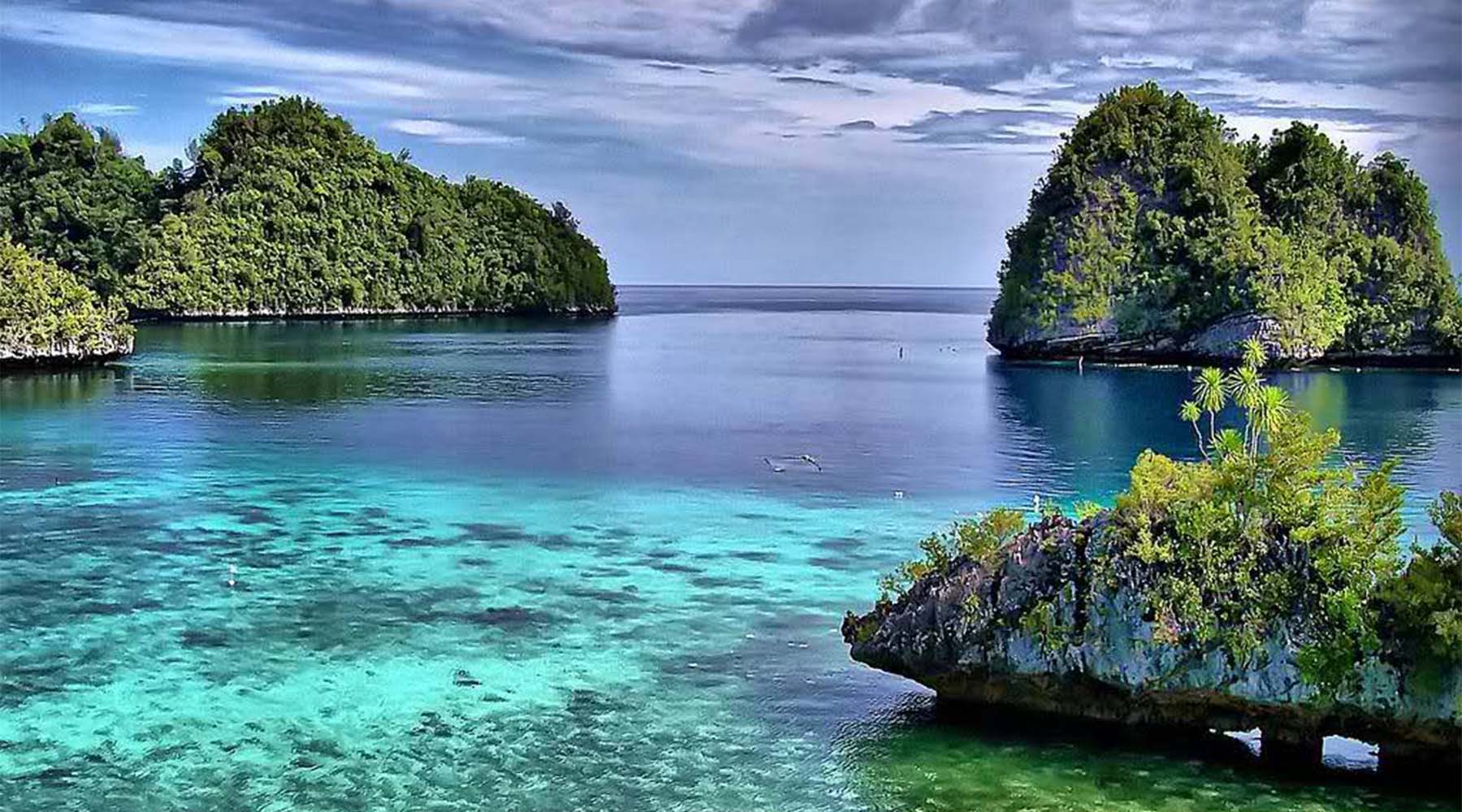 1800x1000 Palawan Wallpaper