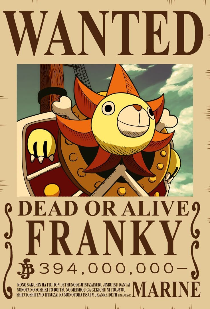 736x1084 FRANKY bounty wanted poster one piece new update vintage