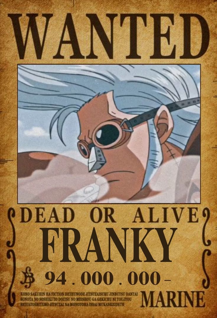 735x1078 One Piece wanted Franky