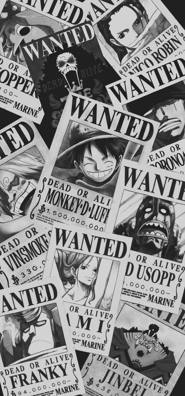 736x1568 One Piece Wanted Posters