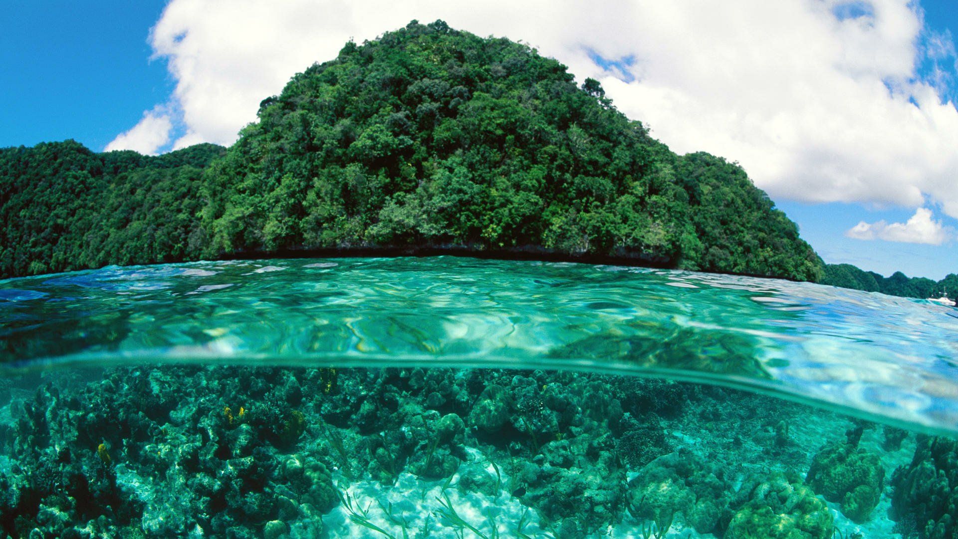 1920x1080 Lush Green Island Oasis: HD Nature Wallpaper with Vibrant Trees and Crystal Watersx1080