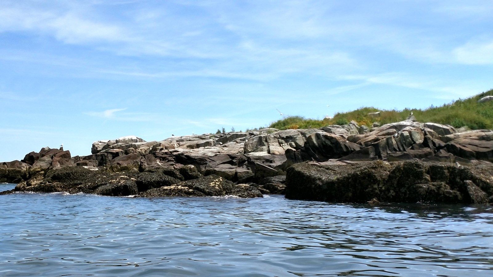 1600x900 Green Island, Boston (U.S. National Park Service)