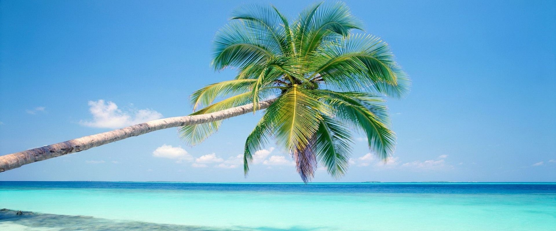 1920x800 Explore Andaman & Nicobar. Green Island Tours