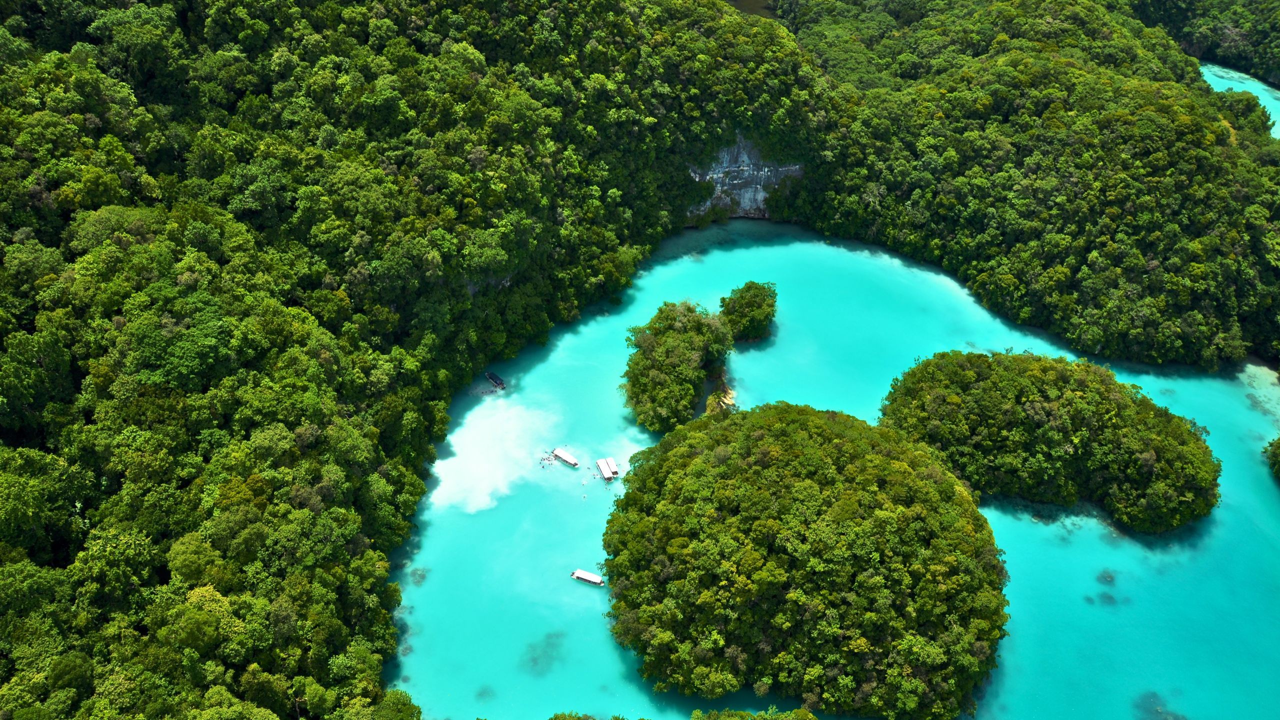 2560x1440 Palau Makes All Tourists Sign a Pledge to Protect the Environment. Condé Nast Traveler