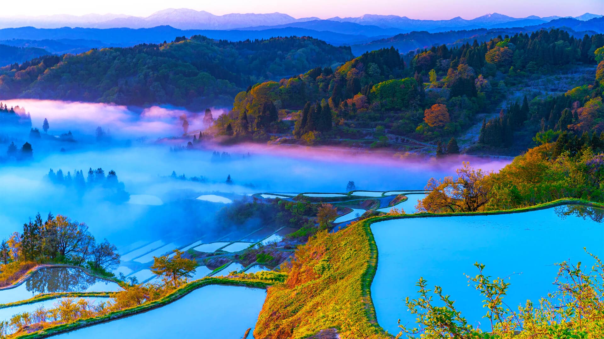 1920x1080 Niigata Wallpaper