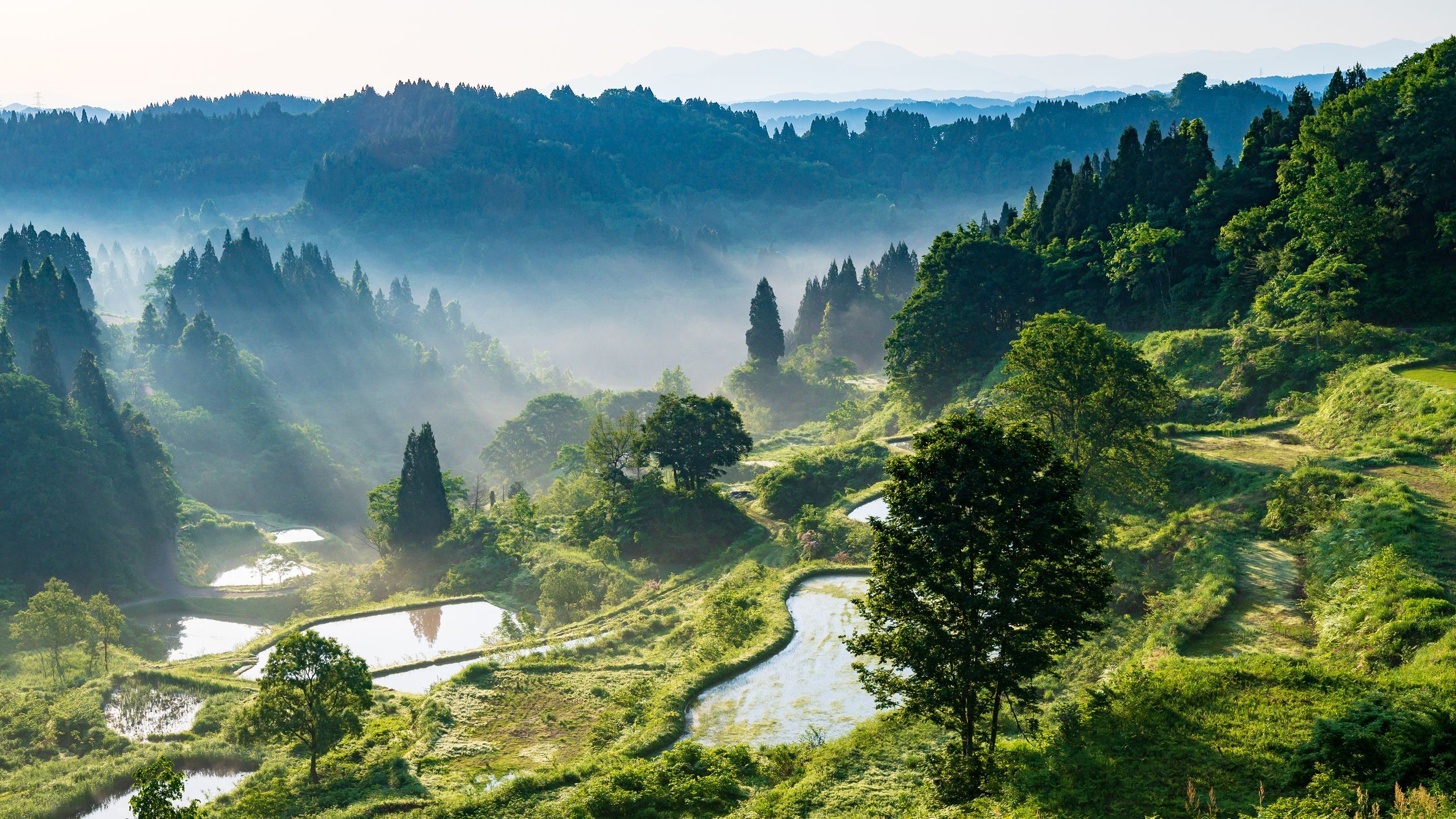 2560x1440 What to Do in Niigata, Japan's Haven for Skiing, Seafood, and Sake. Condé Nast Traveler