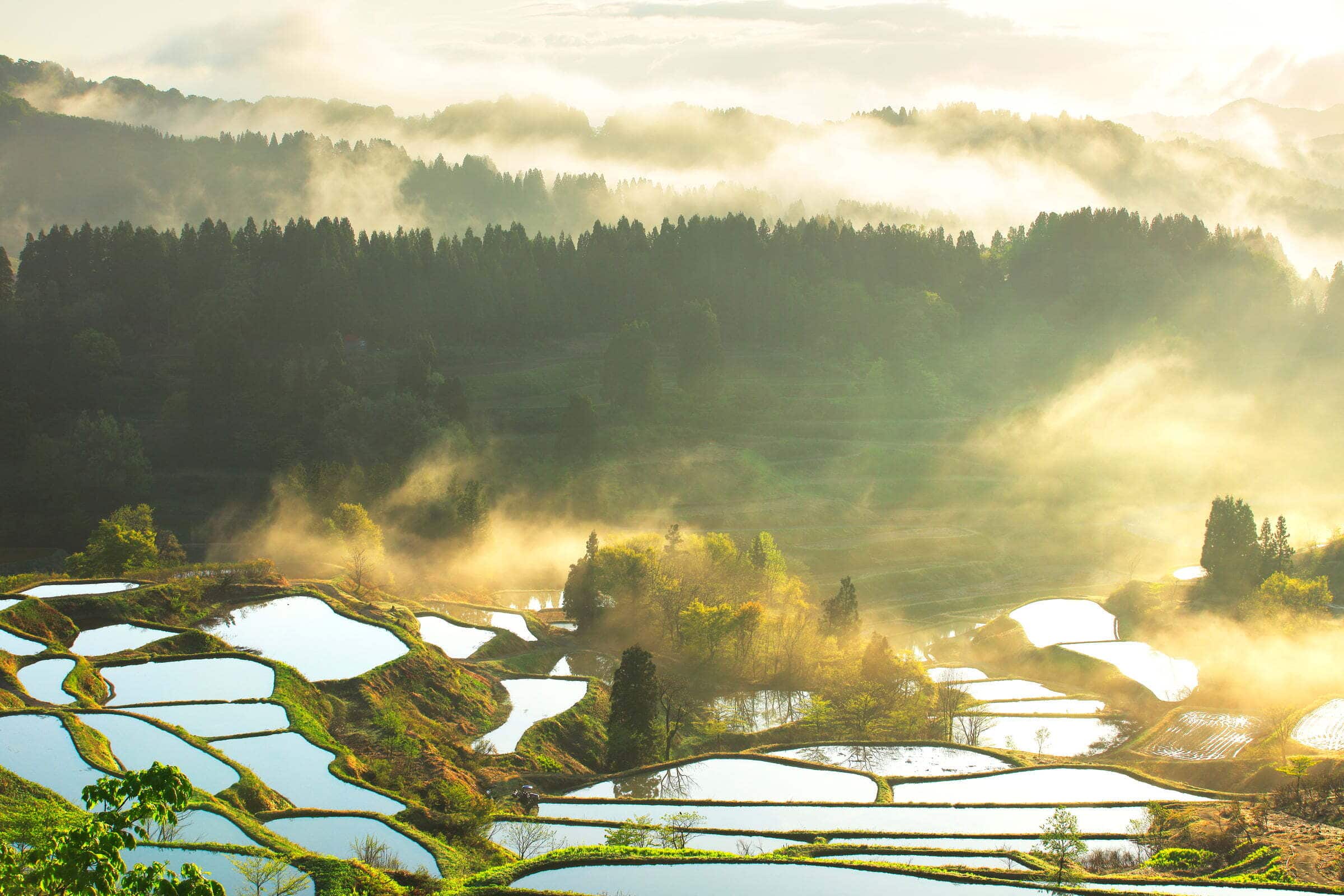 2400x1600 Explore the magic of Niigata Travel Planner