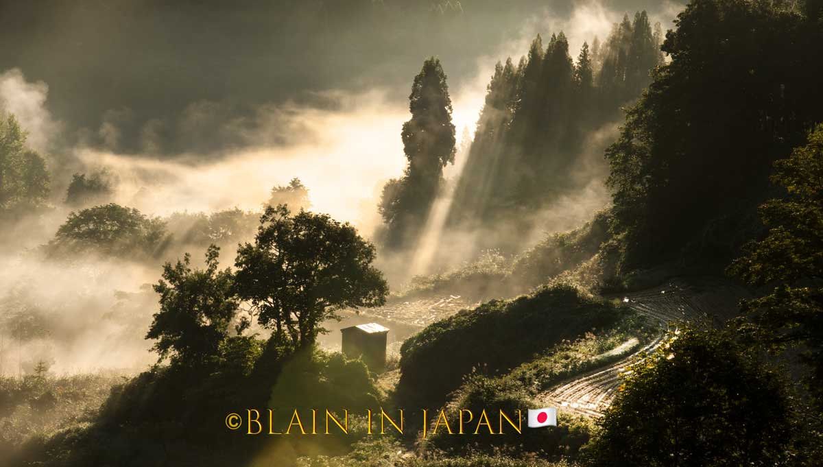 1200x681 Rice Terraces in Niigata Japan Harasymiw Photography