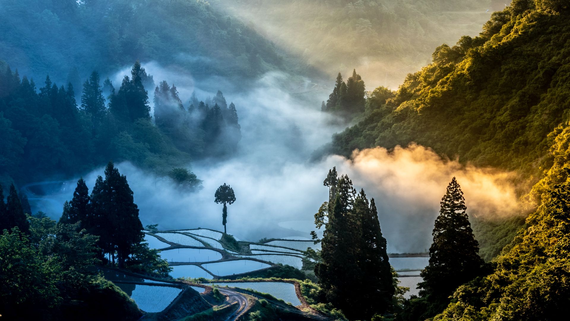 1920x1080 Niigata Wallpaper