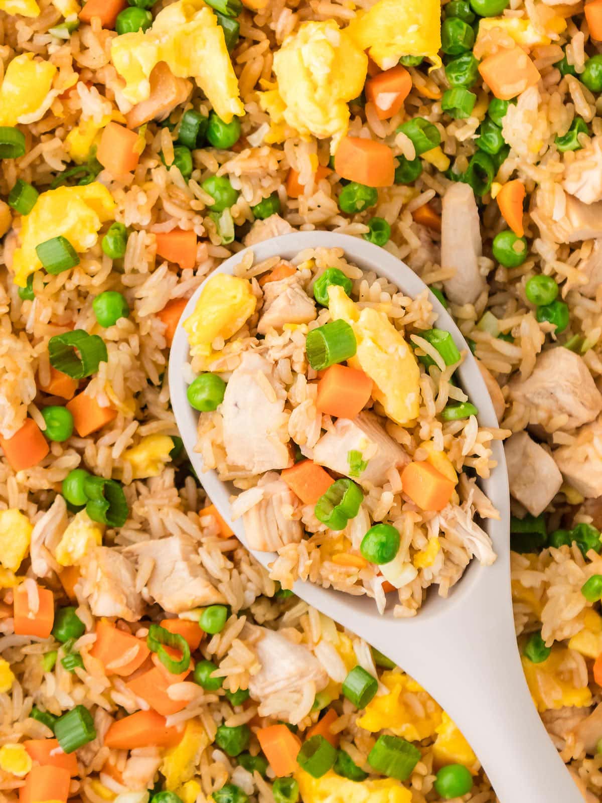 1200x1600 Fried Rice