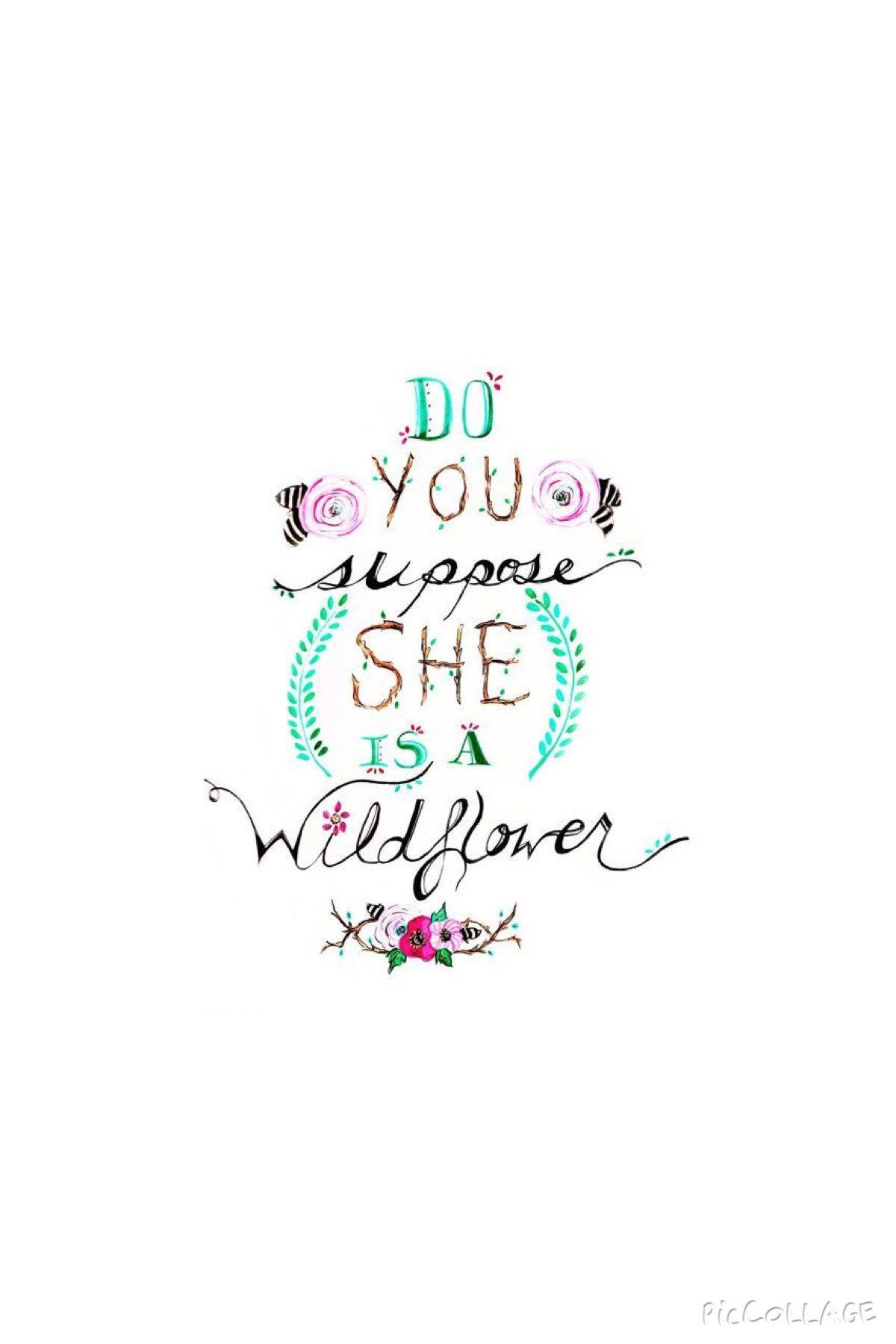 1200x1800 Alice In Wonderland Quotes Wallpaper