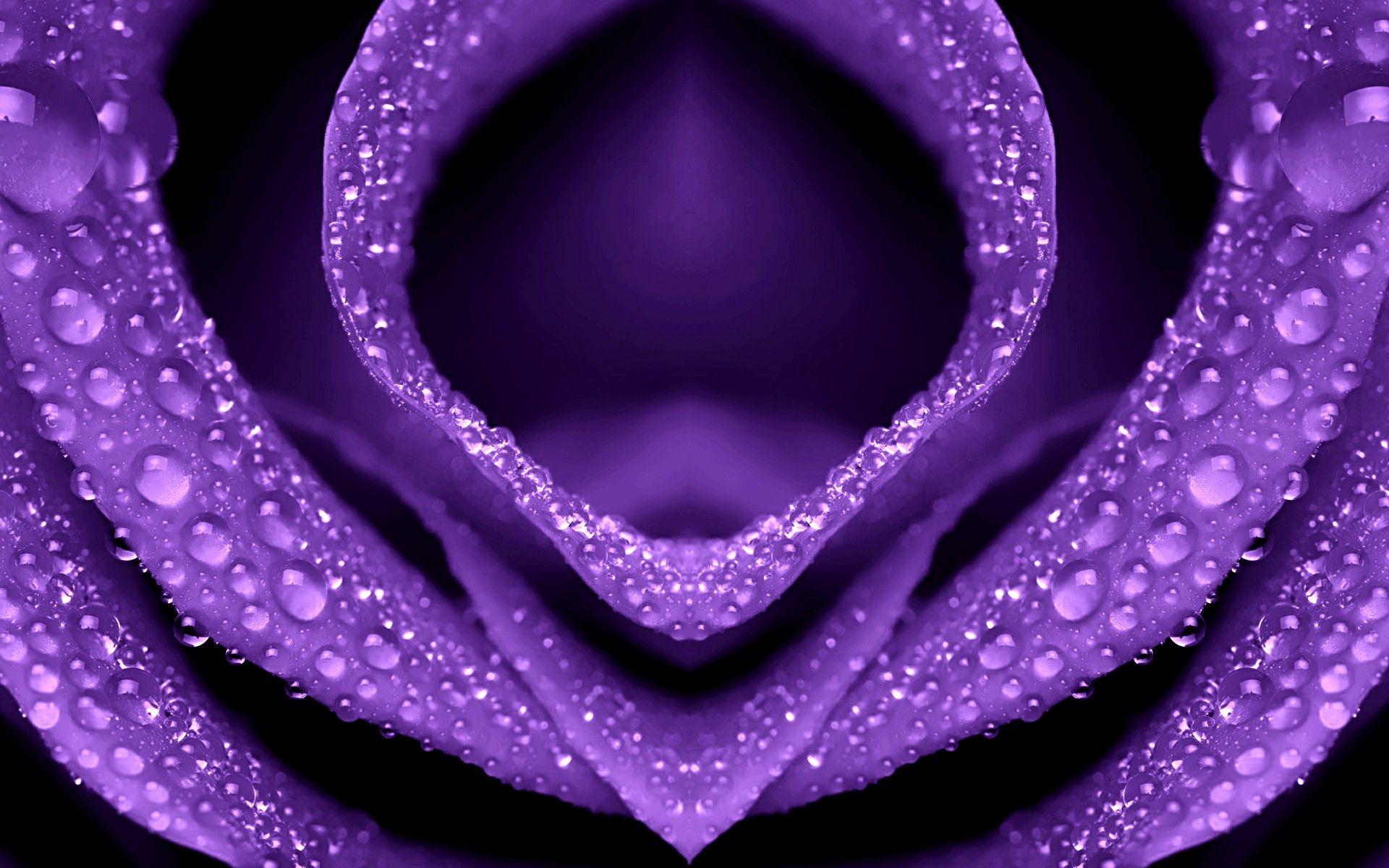 1920x1200 Flower Macro Photo Wallpaperx1200