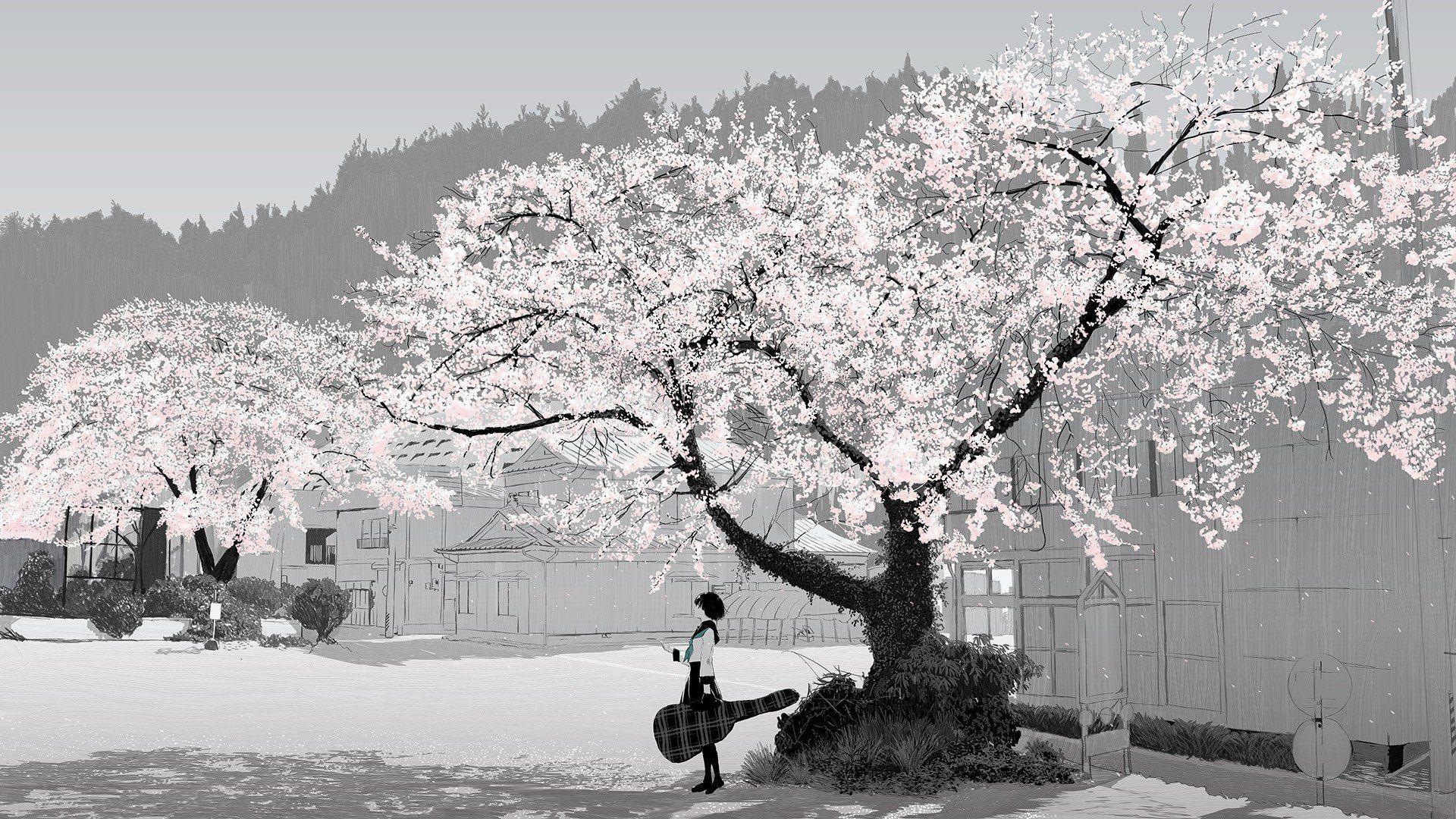 1920x1080 Anime Scenery Wallpaper Anime Cherry Blossom Background Wallpaper HD