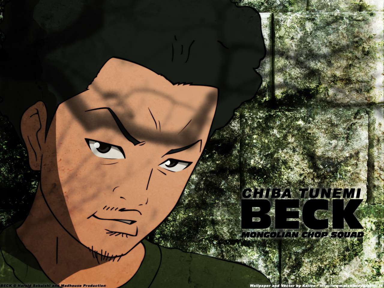 1280x960 Collection of Beck Mongolian Chop Squad Wallpaper on HDWallpaper