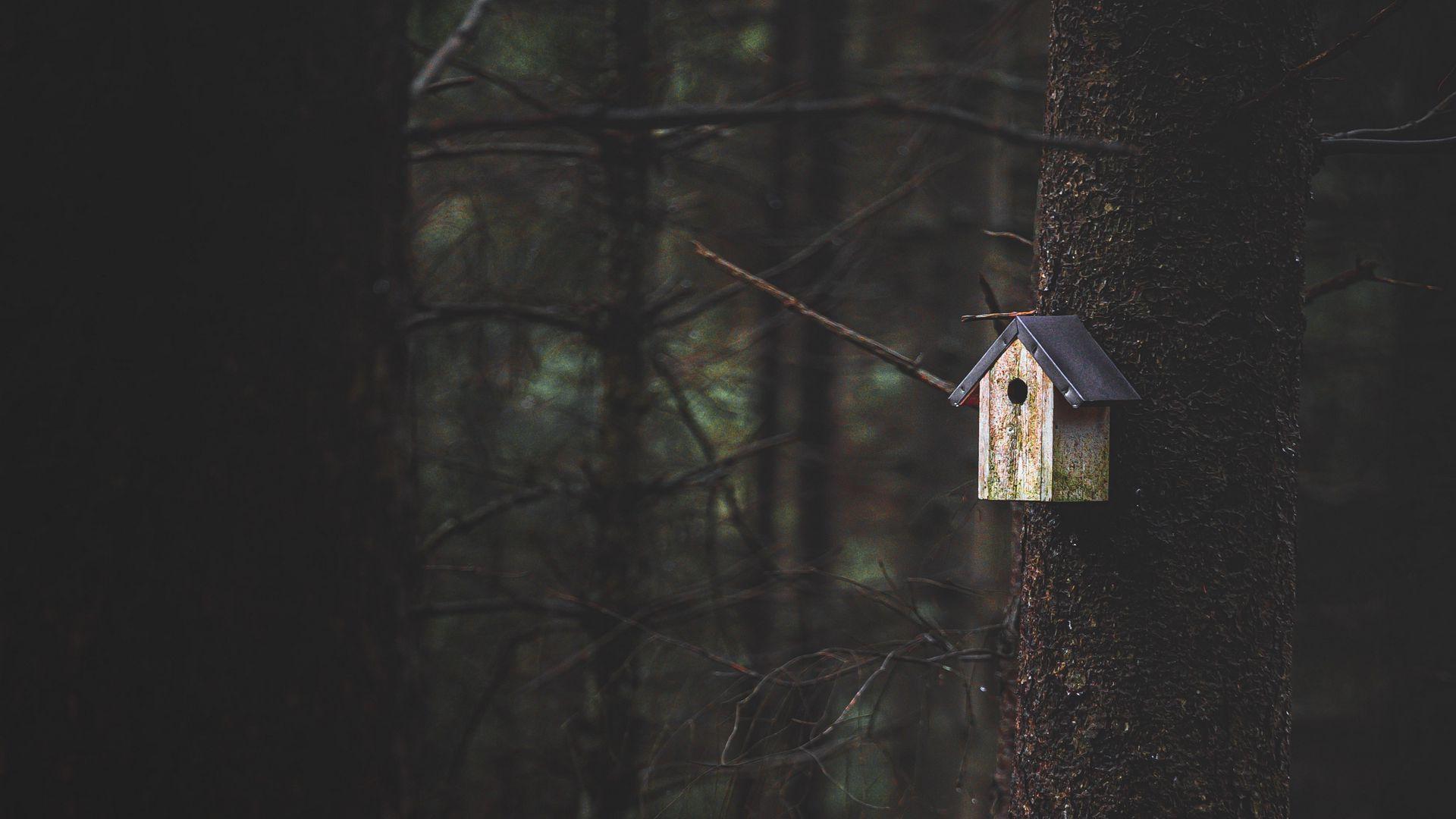 Birdhouse Wallpapers - Top Free Birdhouse Backgrounds - WallpaperAccess