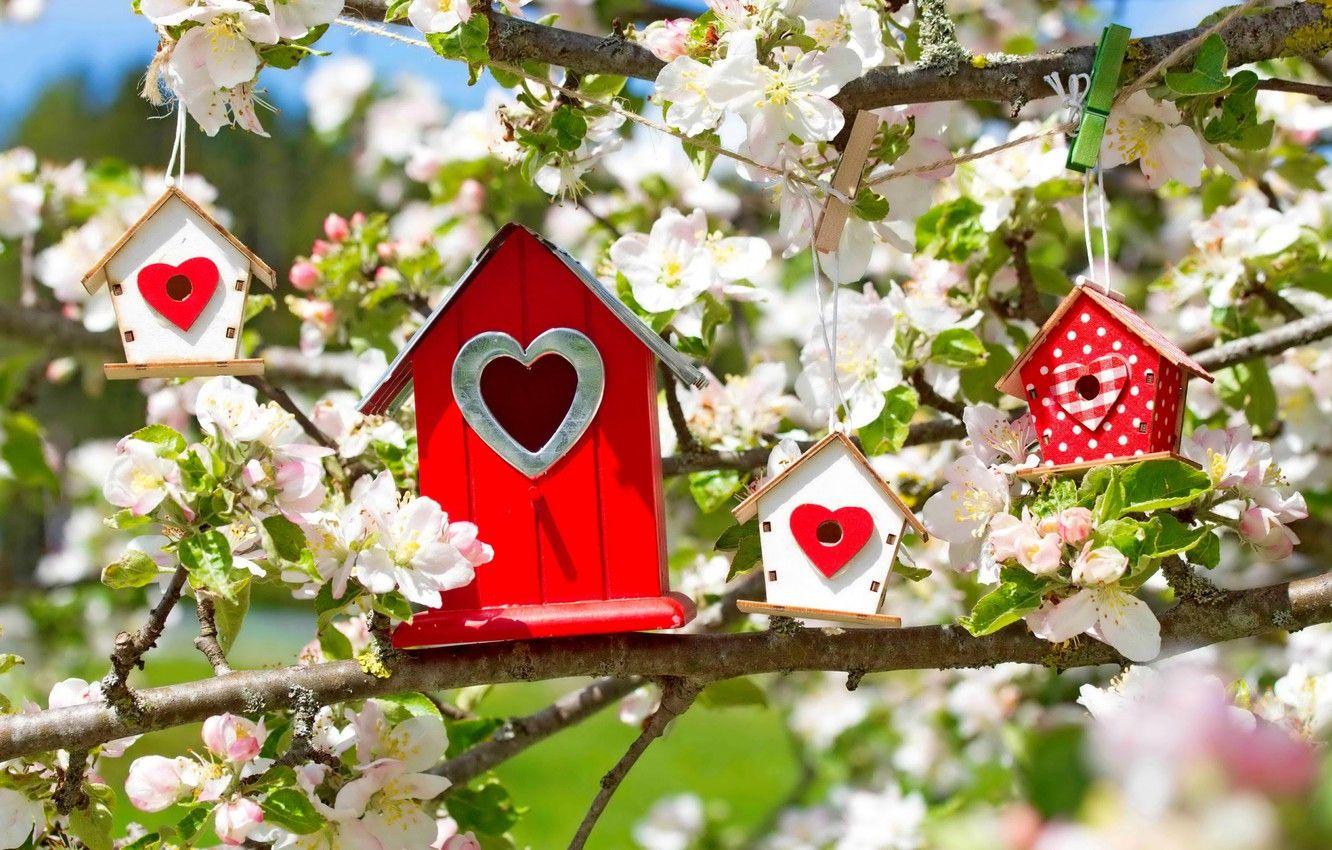 Birdhouse Wallpapers - Top Free Birdhouse Backgrounds - WallpaperAccess