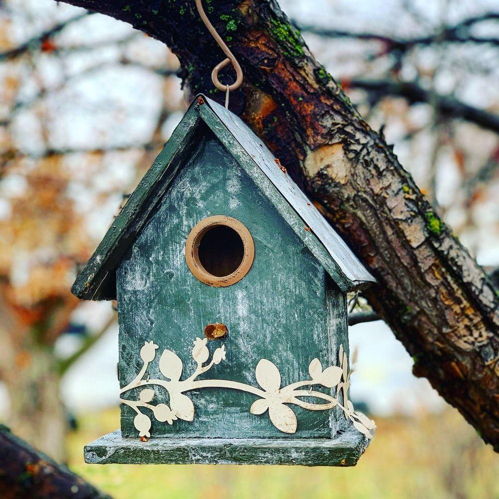 Birdhouse Wallpapers - Top Free Birdhouse Backgrounds - WallpaperAccess