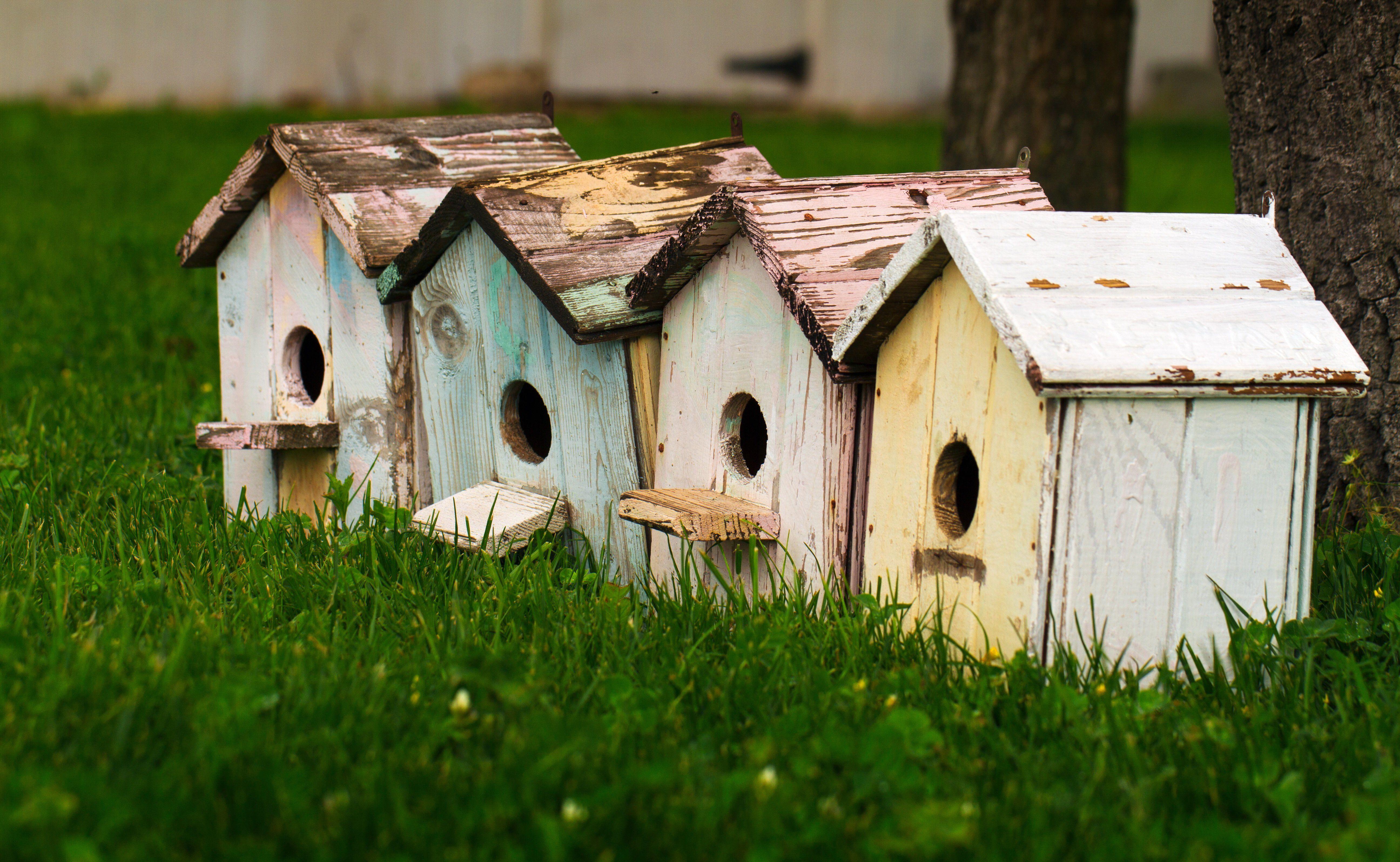 5184x3192 Birdhouse Wallpaper