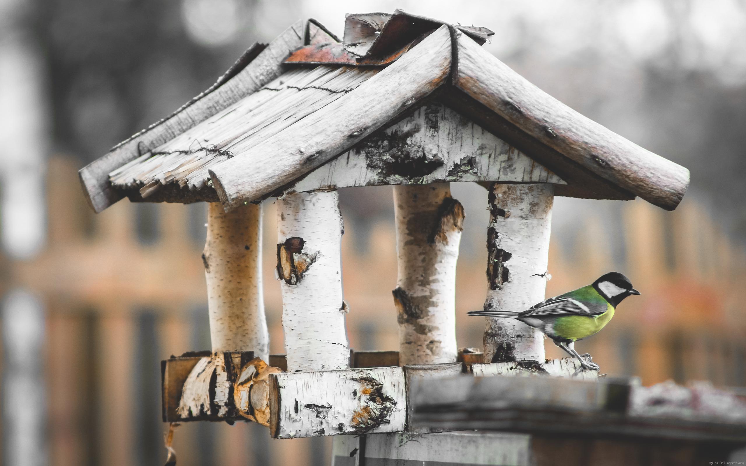 Birdhouse Wallpapers - Top Free Birdhouse Backgrounds - WallpaperAccess