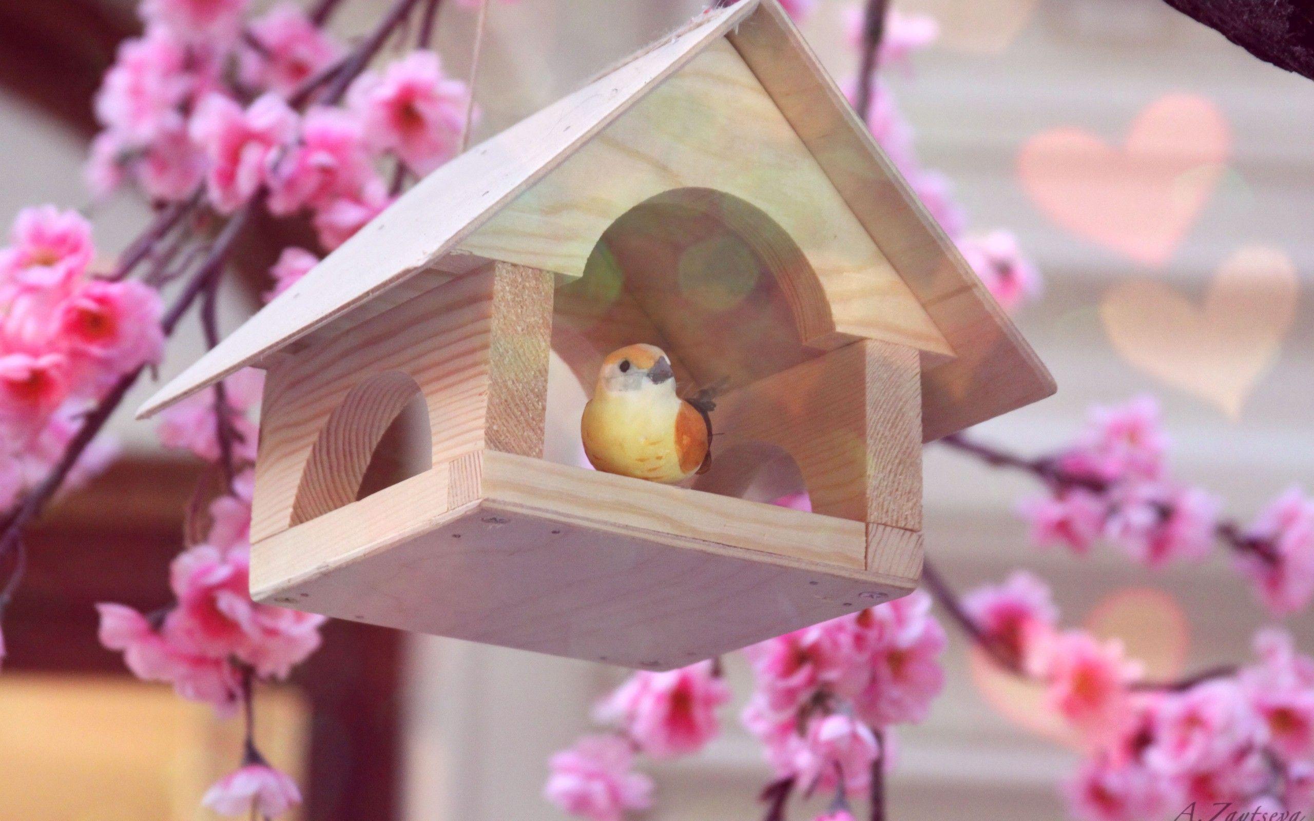 Birdhouse Wallpapers - Top Free Birdhouse Backgrounds - WallpaperAccess