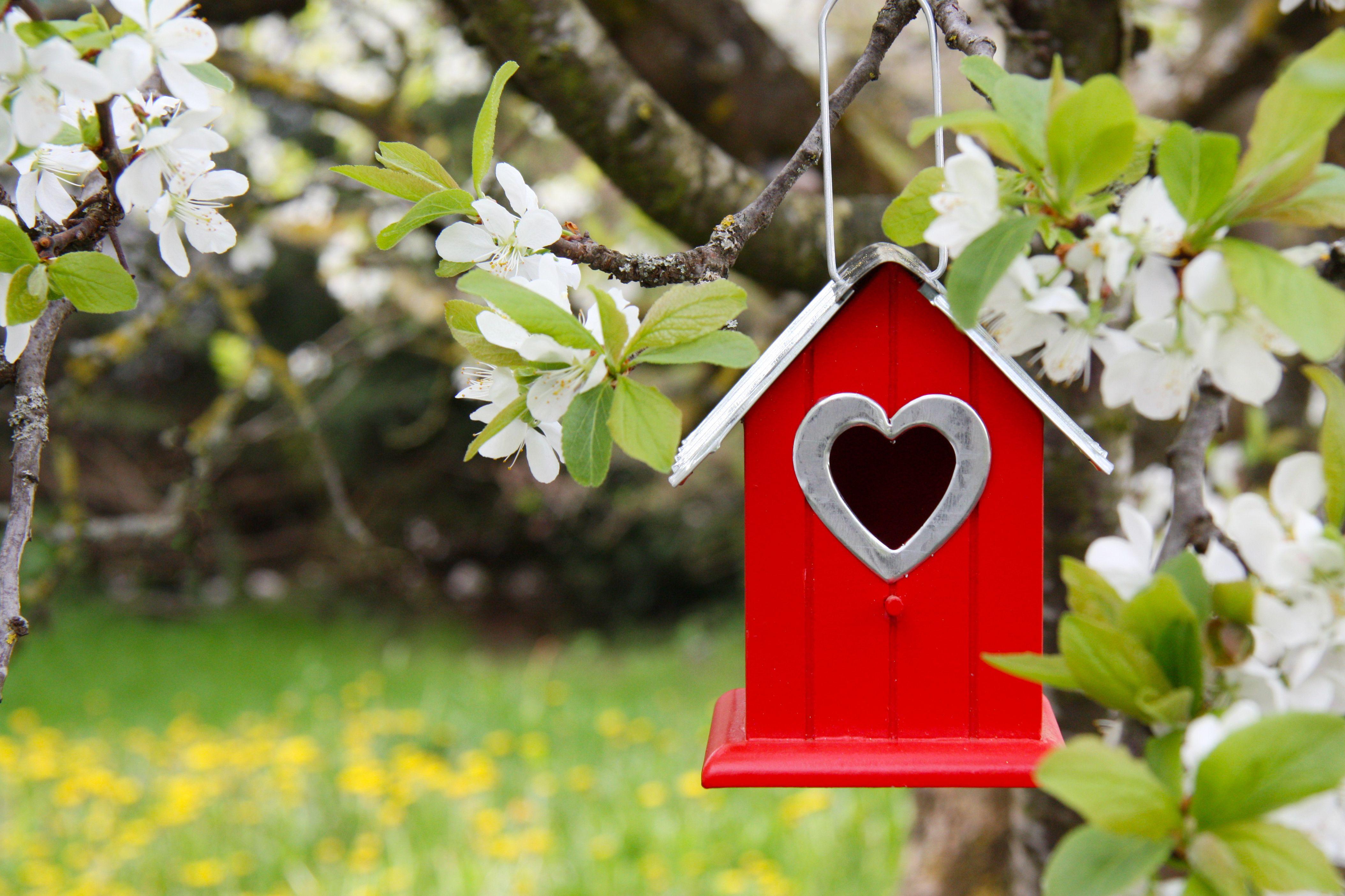 Birdhouse Wallpapers - Top Free Birdhouse Backgrounds - WallpaperAccess