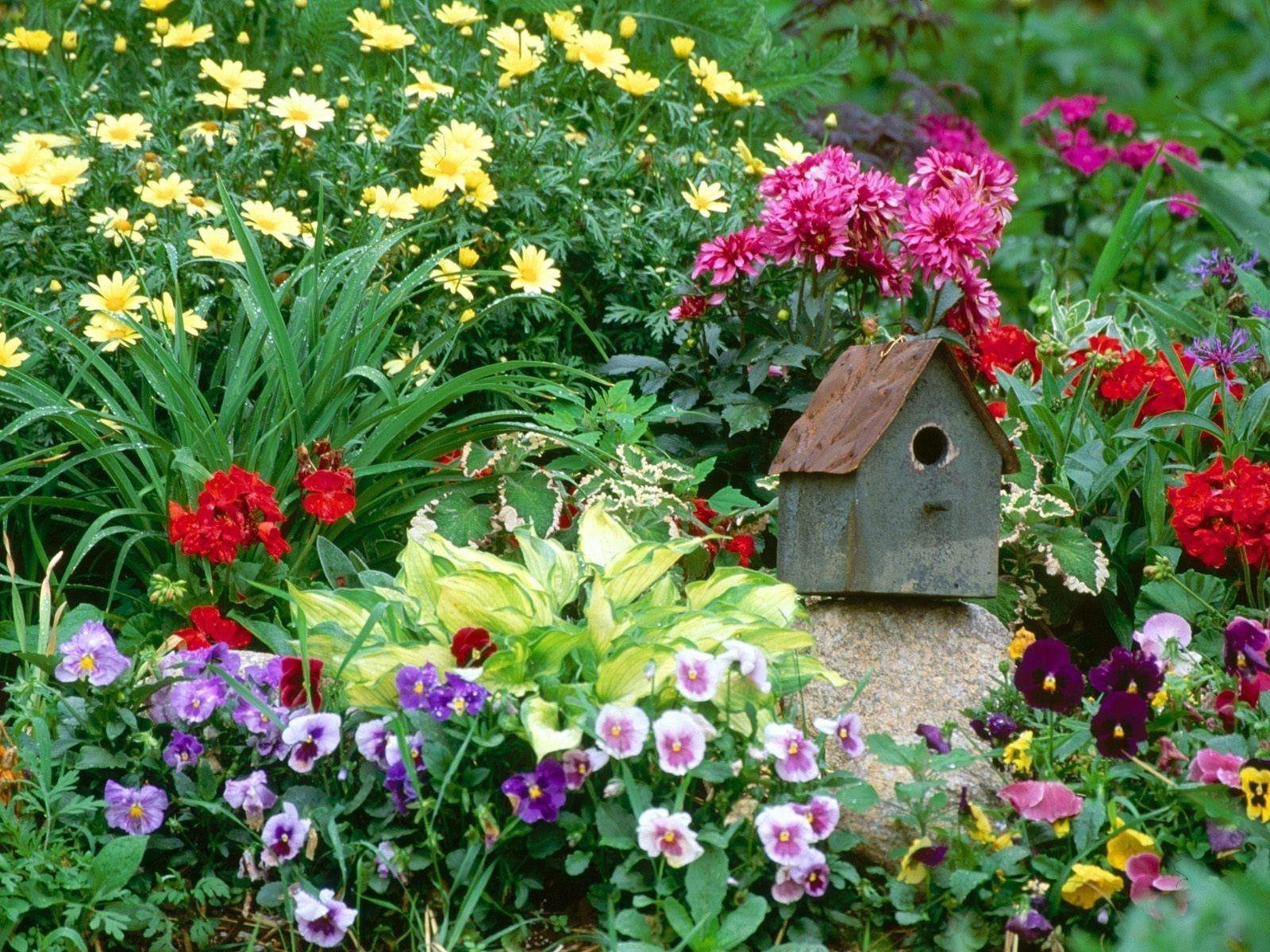 Birdhouse Wallpapers - Top Free Birdhouse Backgrounds - WallpaperAccess