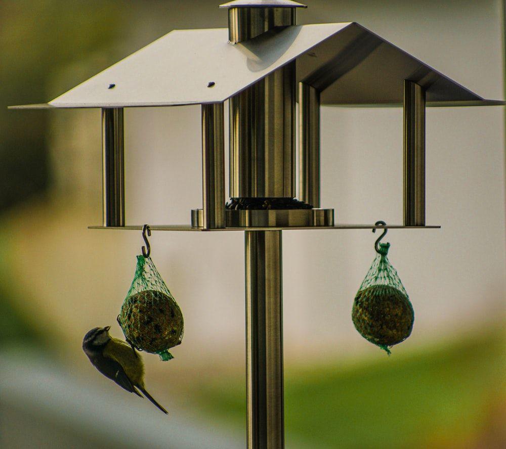 1000x888 Bird House Picture. Download Free Image