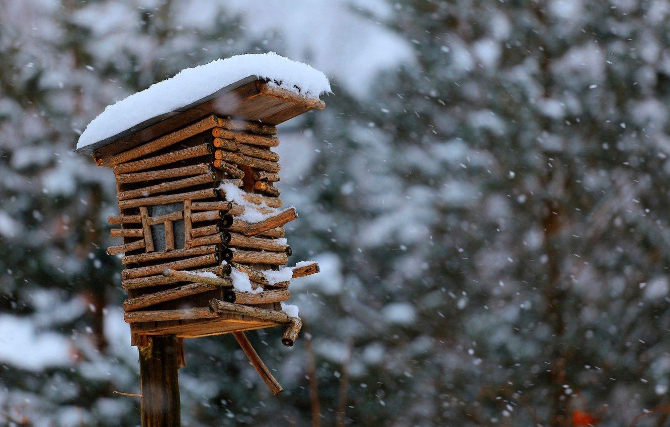 1332x850 Wallpaper snow, birdhouse, bokeh, birdhouse image for desktop, section природа
