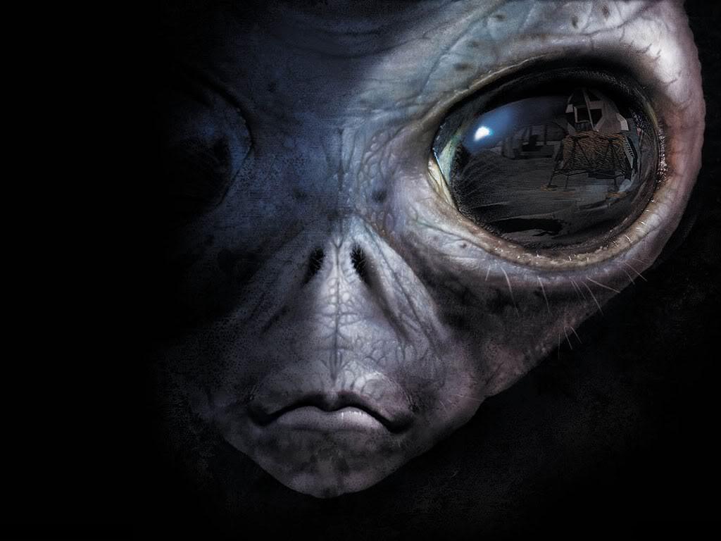 grey alien wallpaper