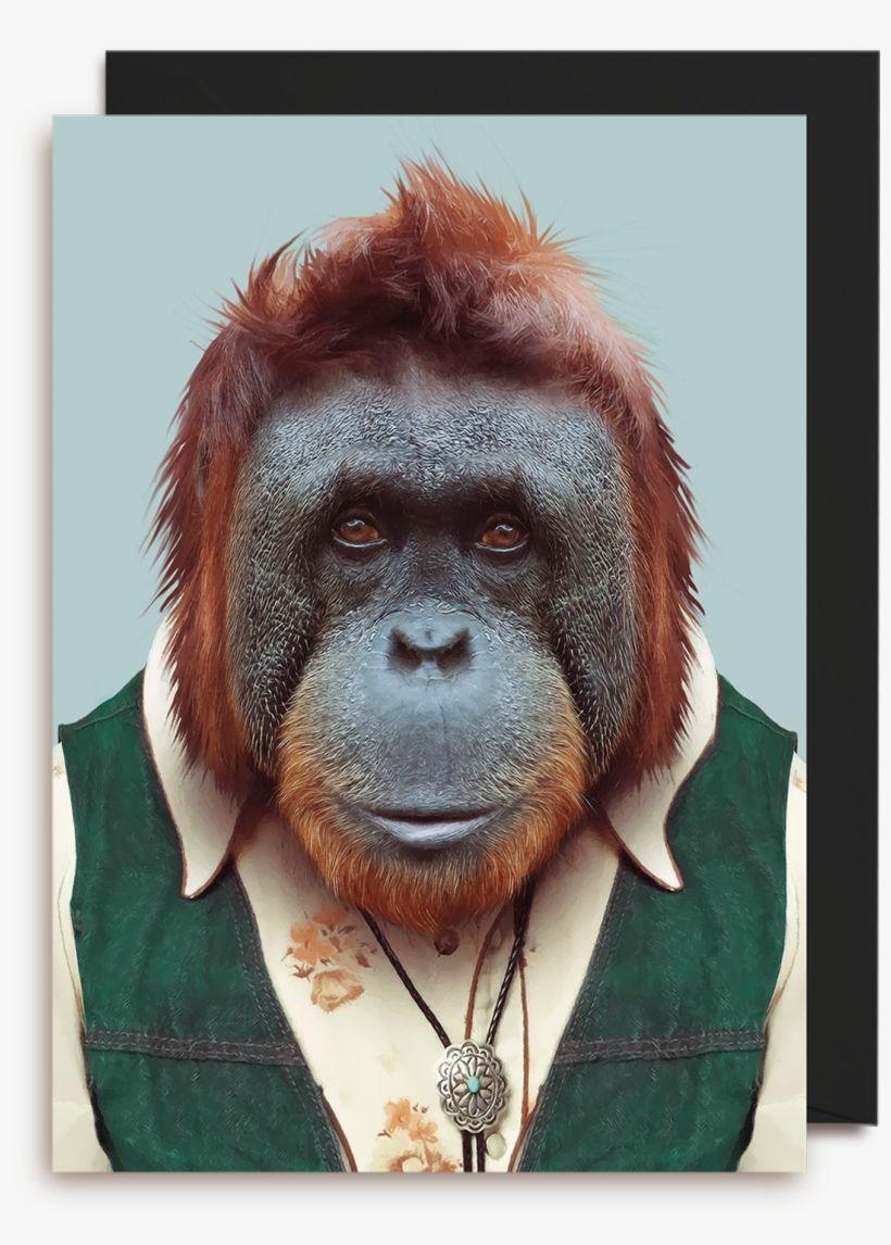 820x1146 Bornean Orangutan Greeting Card Wallpaper Orangutan Transparent PNG Download on NicePNG