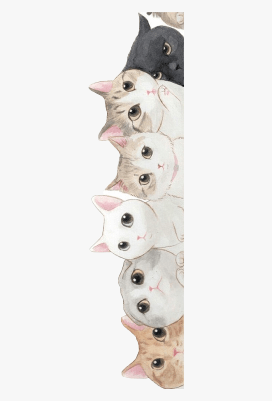 900x1326 Cute Cat Kitten Cuteness Puppy Wallpaper Clipart Wallpaper Cute, Free Transparent Clipart