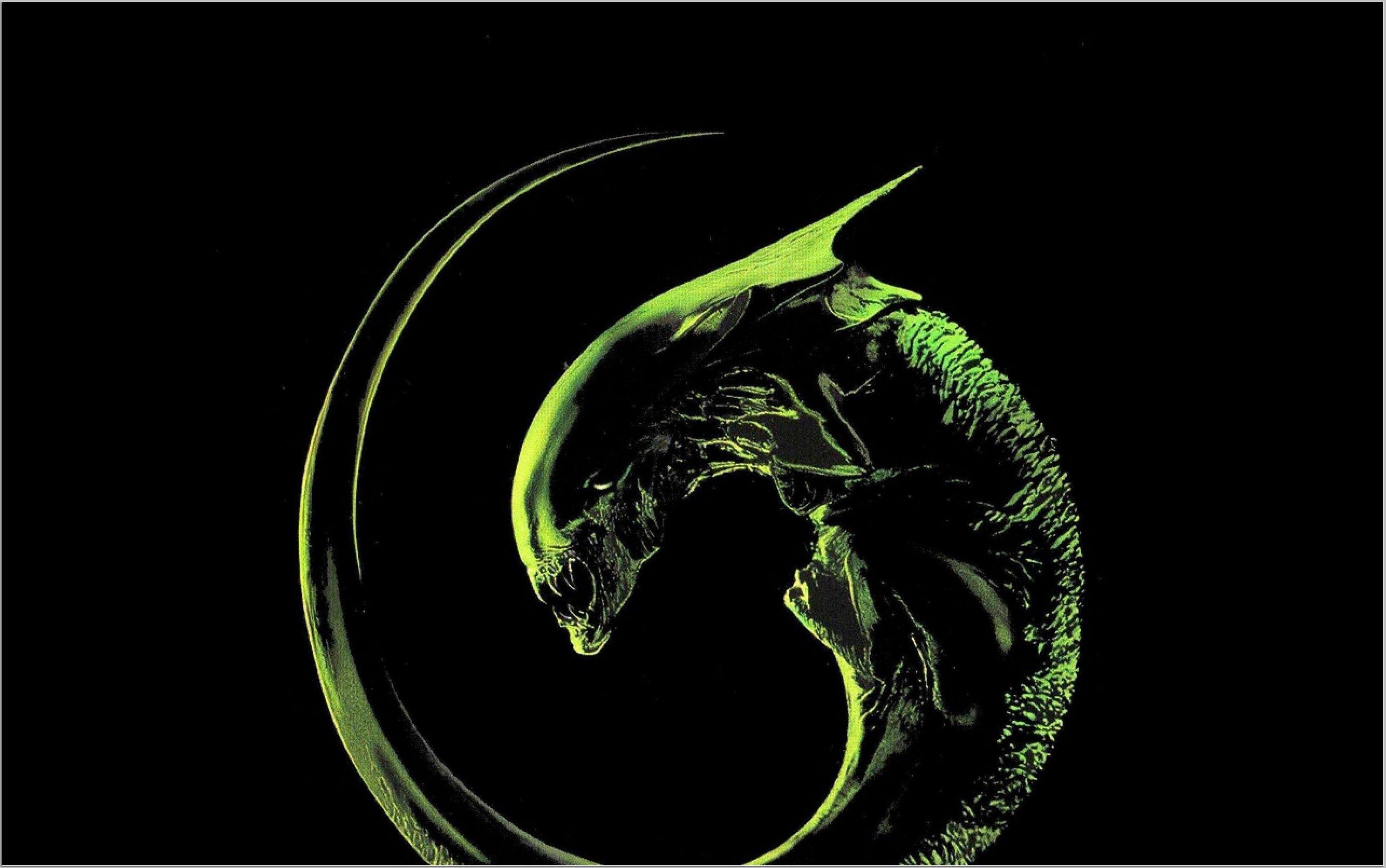 2569x1609 aliens wallpaper 9