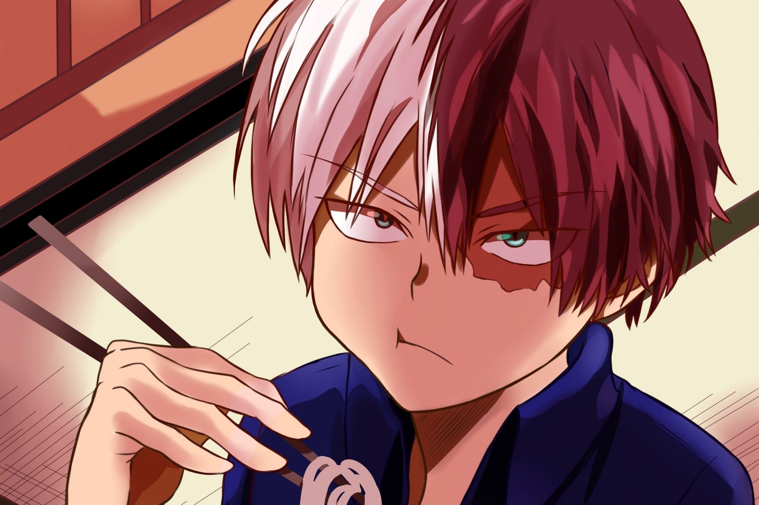 2510x1671 4k Todoroki Wallpaper Hero Academia Todoroki HD Wallpaper