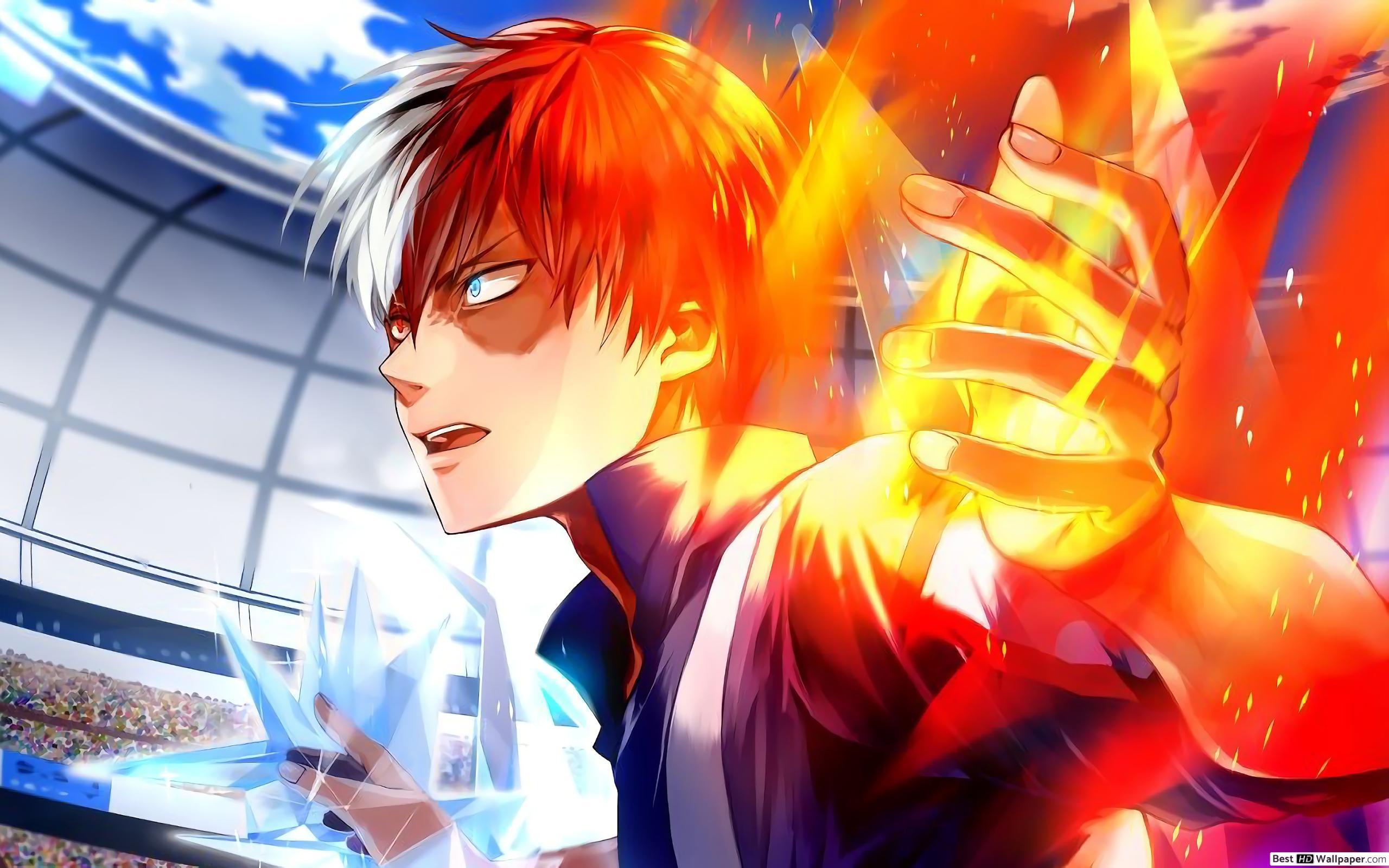 2560x1600 Shoto Todoroki Desktop Wallpaper