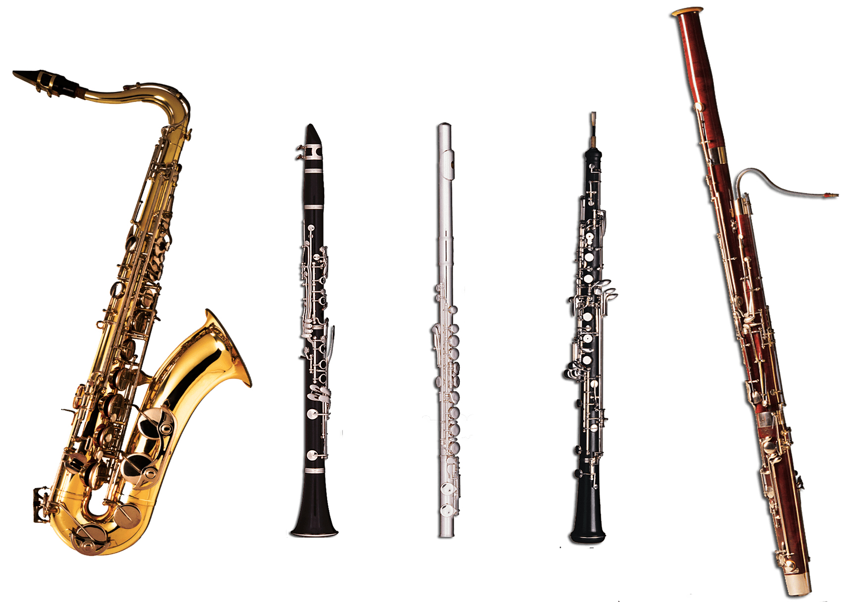 1718x1217 Woodwind Wallpaper