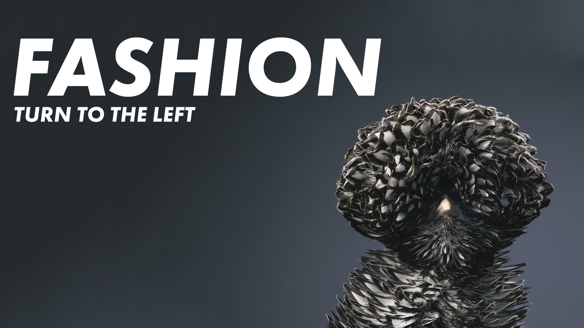1920x1080 High Fashion Chicken [1920x1080]