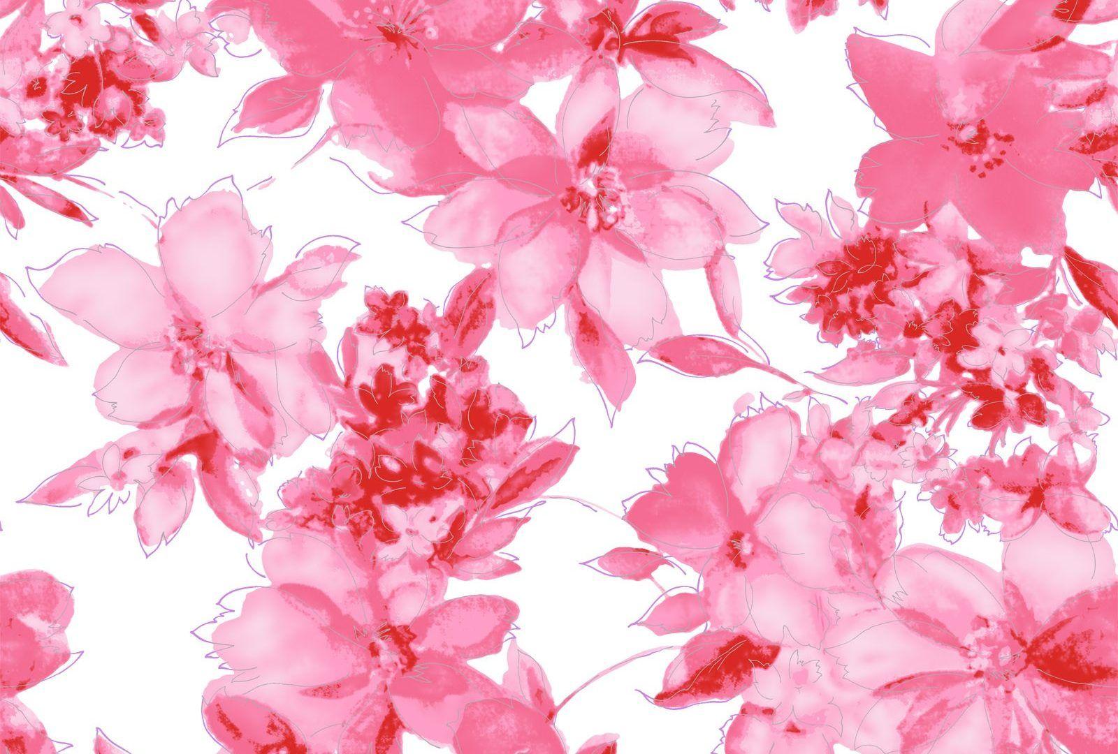 1600x1080 Hoa: Màu hồng Ấm áp Hoa Trừu tượng Hoa Pic HD mới cho HD 16: 9