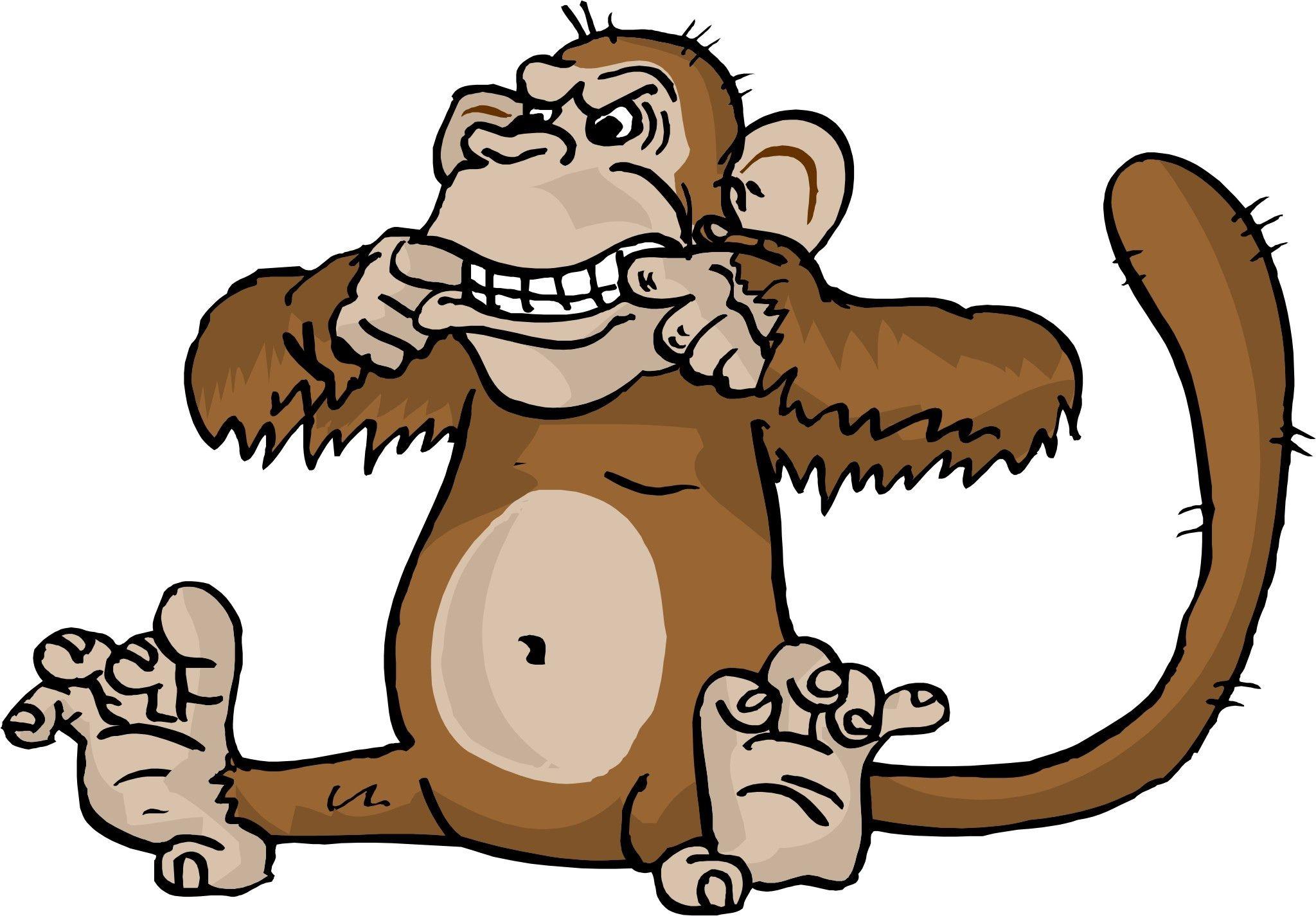 2048x1425 Monkeys Cartoon 1080X1080 .