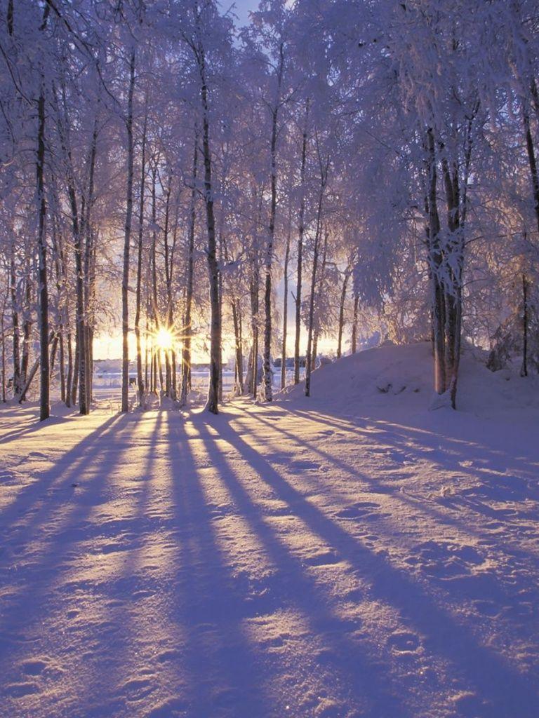 768x1024 Beautiful Winter Wallpaper For iPad