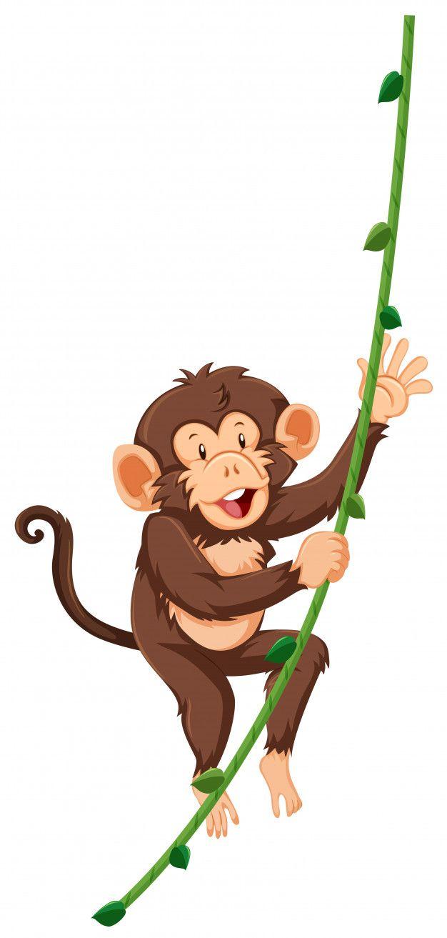 626x1313 Monkey Image. Free Vectors, & PSD