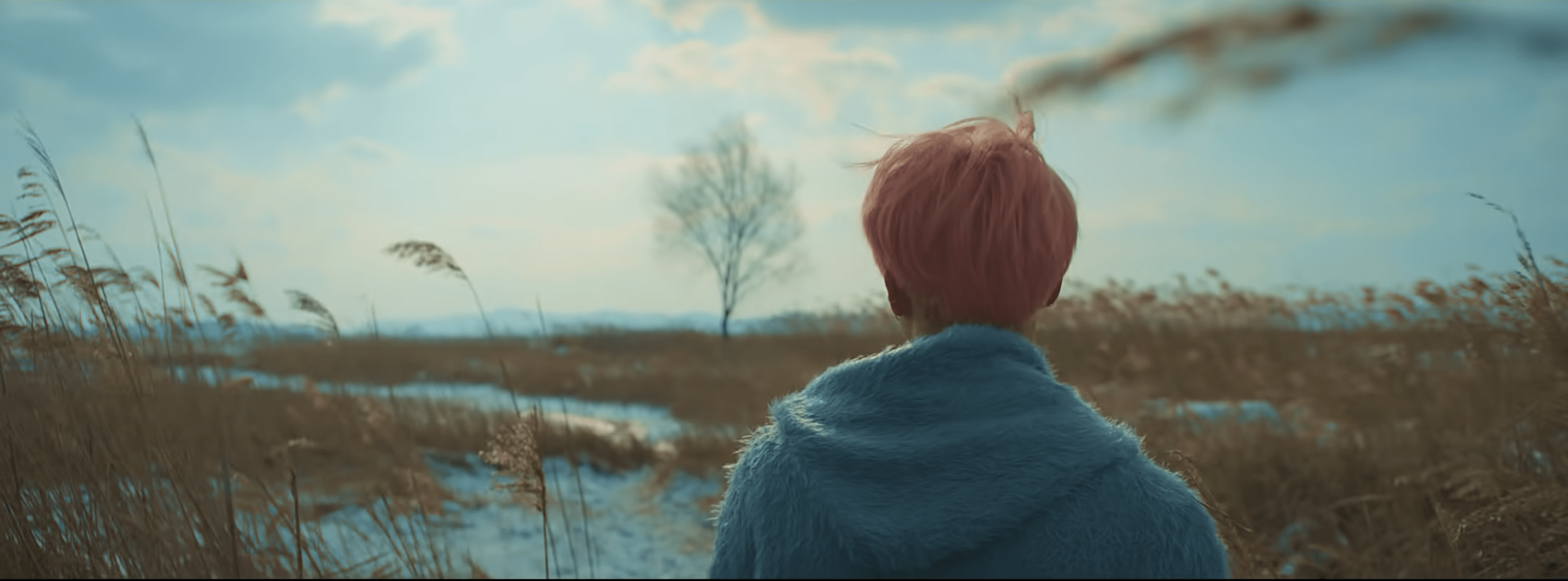 Spring day holiday. Локации съемок БТС. BTS Spring Day Jimin. First Spring Day Wallpaper.