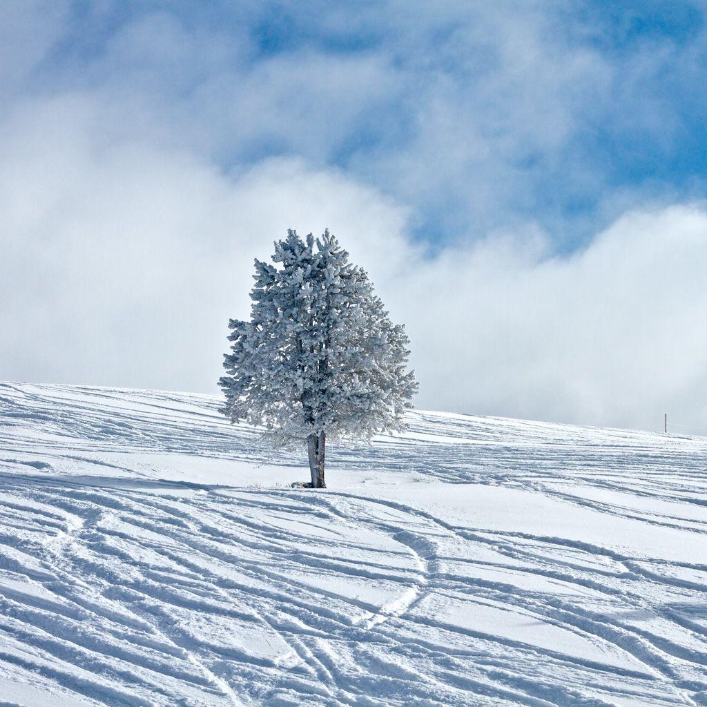 1024x1024 Winter Wallpaper iPad Free